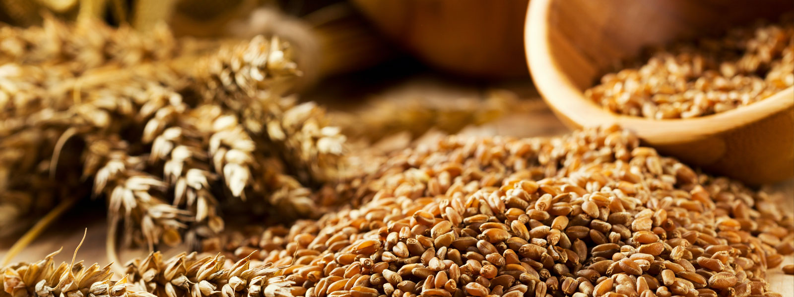 Food Grains
