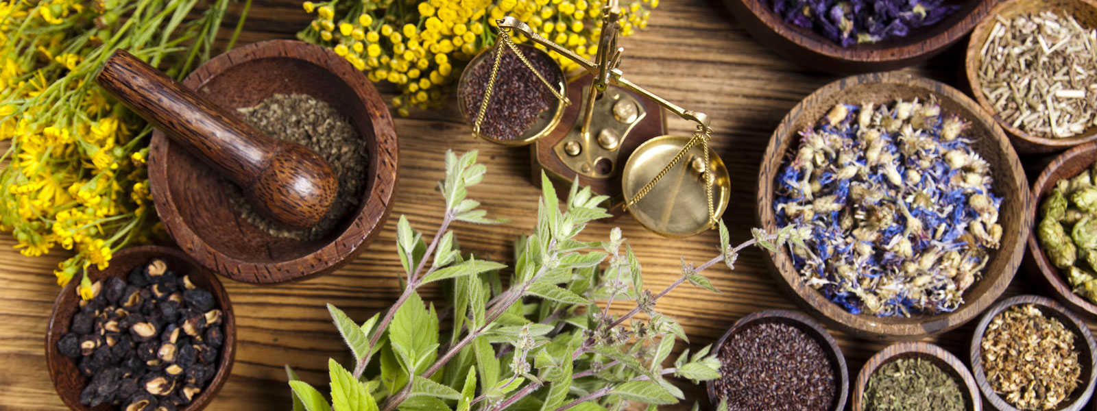 Herbs and Shrubs